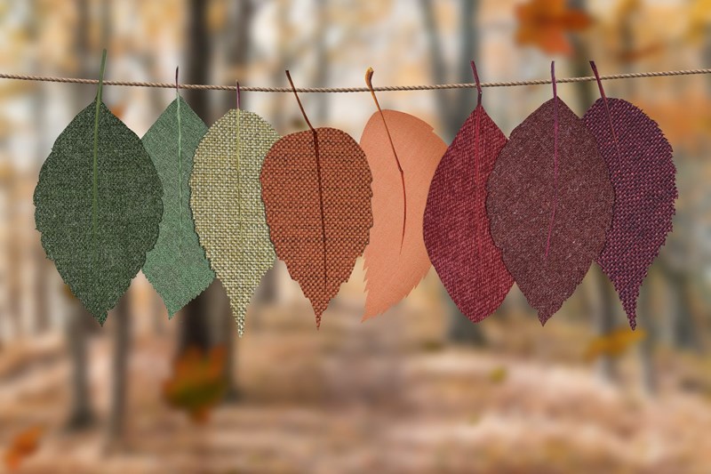Fall_Decor